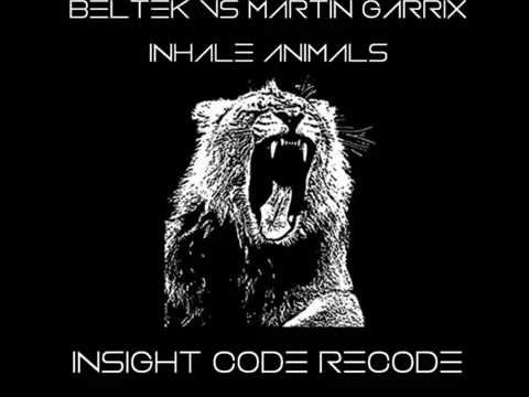 Beltek vs Martin Garrix - Inhale Animals (Insight Code Re-Code)