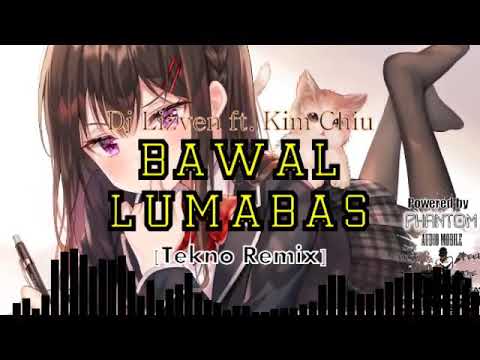 BAWAL LUMABAS PARODY Ft. Kim Chui ( Tekno Remix by: Dj Lizven)