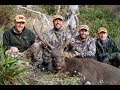 Backpack Sambar Hunting The Alpine National Park Victoria 2018