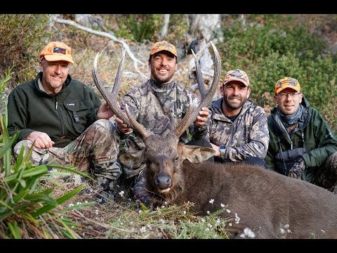Backpack Sambar Hunting the Alpine National Park Victoria 2018