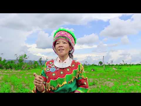 lus sib dlos nkauj ntsuag ntsum yaj