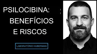 Download lagu Como a psilocibina pode religar nosso cérebro, seus benefícios terapêuticos e seus riscos | Huberman mp3