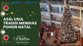 Bermula dari Jerman, Berikut Asal-usul Tradisi Menghias Pohon Natal