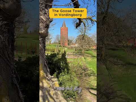 Goose Tower, Vordingborg Denmark 🇩🇰 | Gåsetårnet | Historic Danish Landmark #Shorts