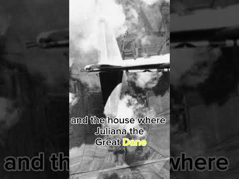 Ww2 Dog medal Juliana. #shorts  #ww2 #history #greatdane