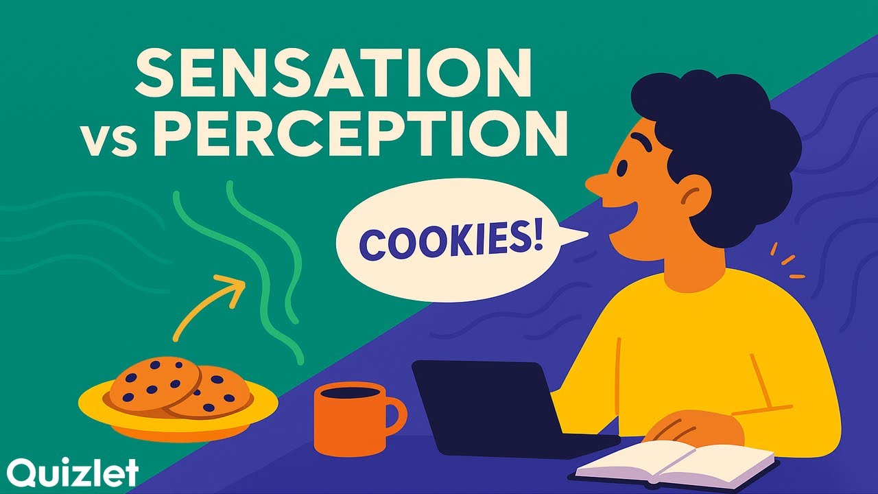 Sensation vs. Perception Explained | Psychology Basics with Real-Life Examples