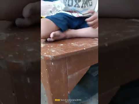 shree playing with cat