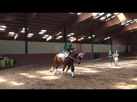 RVV München-Daglfing III DVP 2017 Kür