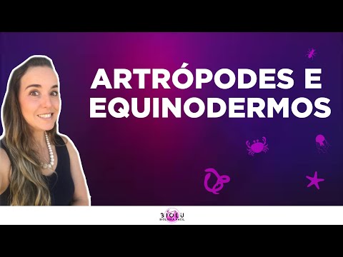 ARTRÓPODES E EQUINODERMOS - ZOOLOGIA I Prof. Louise Medeiros