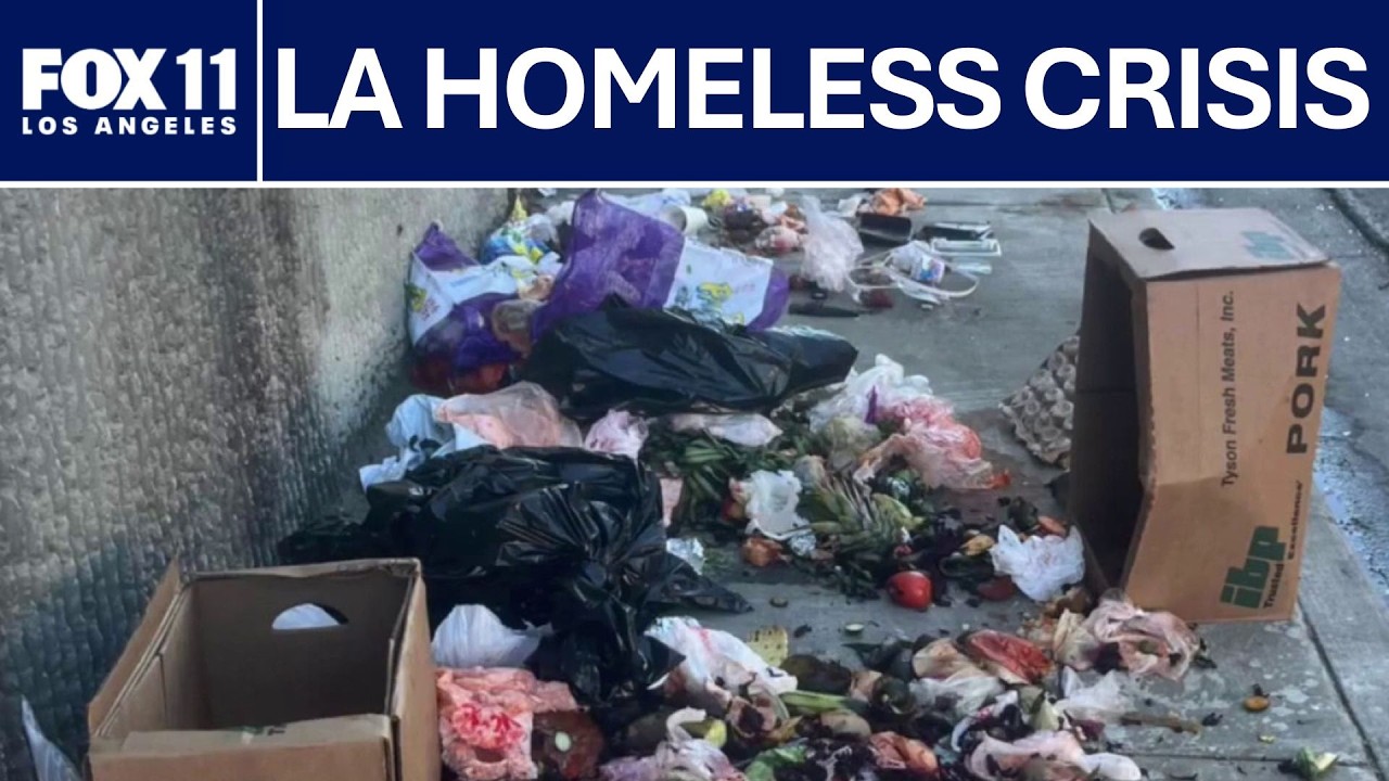 Homeless encampment in South Los Angeles threatening kids' walk to school