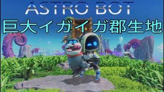 【アストロボット】巨大イガイガ郡生地【ASTRO BOT 】