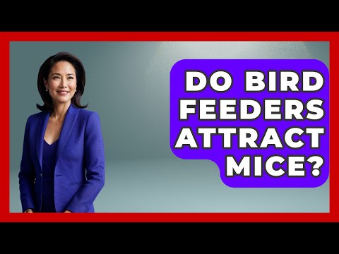 Do Bird Feeders Attract Mice? - Insects and Invaders