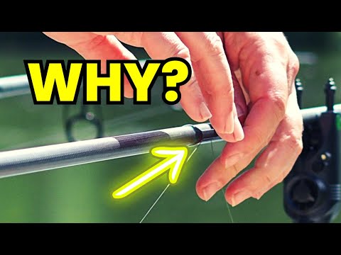 HOOK the carp better INSTANTLY❗