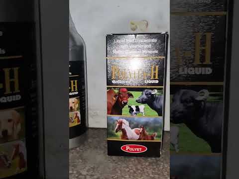 Polvita H 1lit Animal Feed Supplement