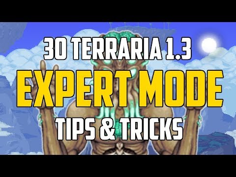 Terraria 1.3 30 EXPERT MODE TIPS &amp TRICKS YOU MUST KNOW!PCPS4XBOX1Mobile