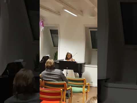 My heart will go on violin cover