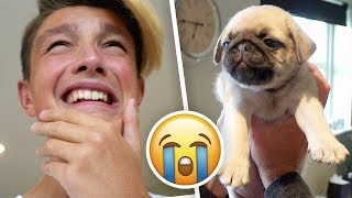 THE BIGGEST SURPRISE OF MY LIFE!! (New Puppy) *very emotional*