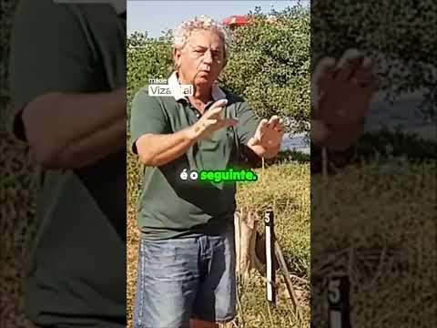 TRÊS MARIAS: O que ninguém te conta sobre o risco!