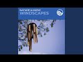 Stories In The Wind