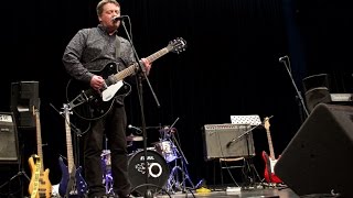 Background Affair - Martin Phillipps: Rise Above - South Dunedin Benefit Concert