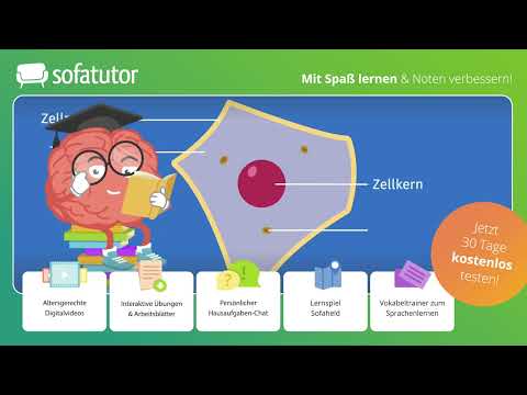 Tierzelle Aufbau & Funktion – einfach erklärt!