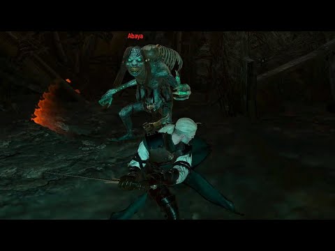 The Witcher 3: Muire D'yaeblen contract