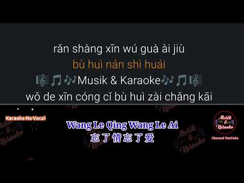 Wang Le Qing Wang Le Ai 忘了情忘了爱 - Karaoke No Vocal