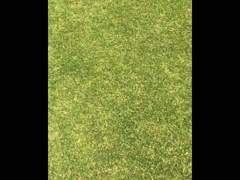 Roehampton looks like Augusta, let's keep it that way!