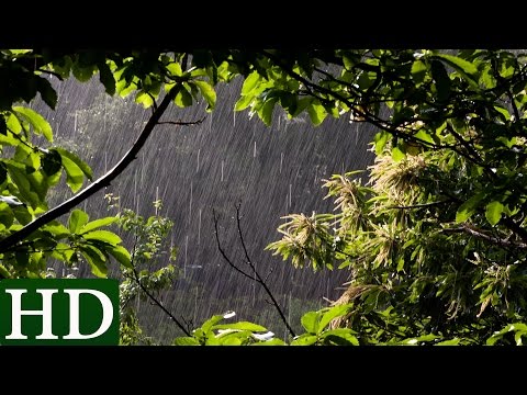 Regen - HD - Regengeräusche und Naturgeräusche