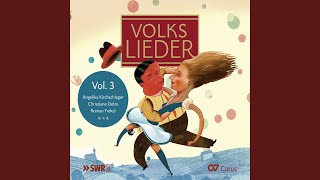 Traditional: Jetzt gang I ans Brünnele