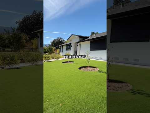 Is it cheaper to install artificial grass or sod? 🌱