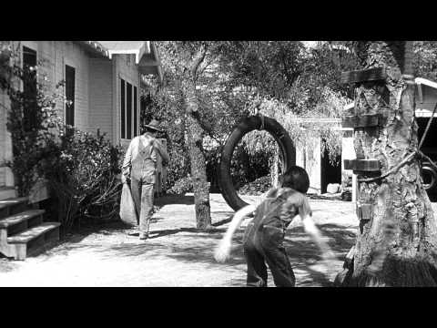 Trailer-Vorschau: Wer die Nachtigall stört