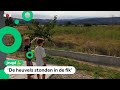 Pavlos en Iason moesten vluchten voor de bosbranden in Griekenland