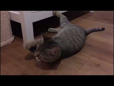 Gisela & Mathilda Februar 2022