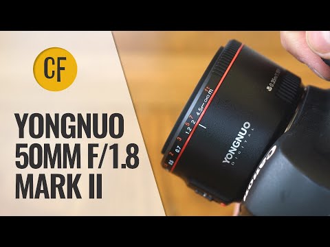 Тест Yongnuo YN 50mm F1.8 II для Canon