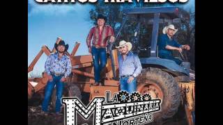 La Maquinaria Norteña - Gatitos Traviesos //2016// Audio Original