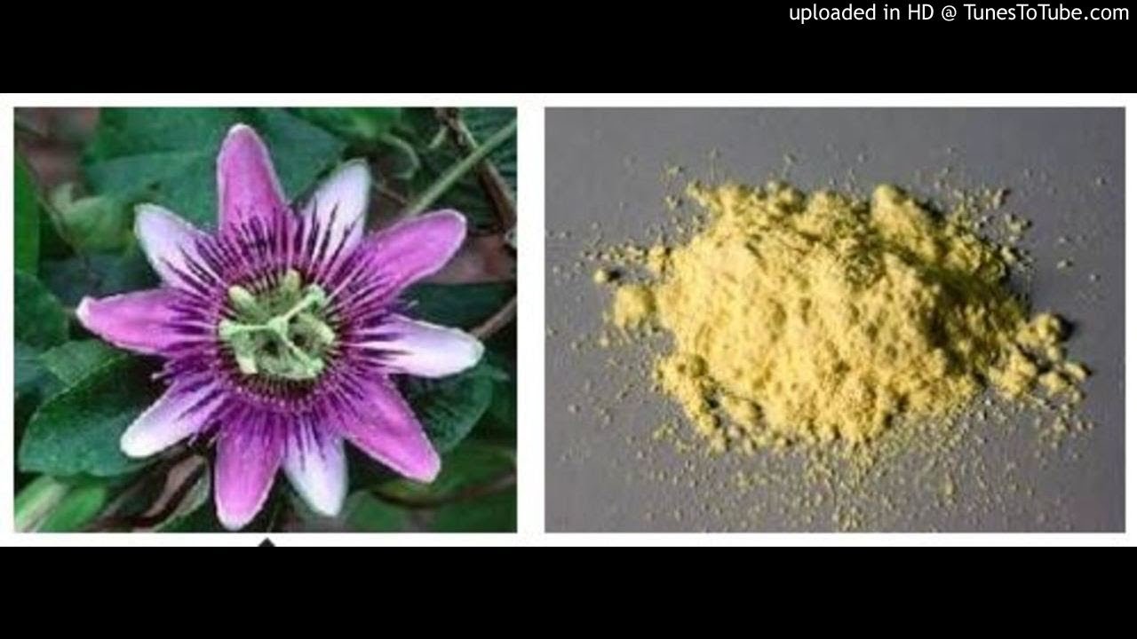 Chrysin is a promising anti-inflammatory, antioxidant and anticancer drug - YouTube