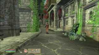 Let's Play Oblivion Part 44 - The Castle Croucher