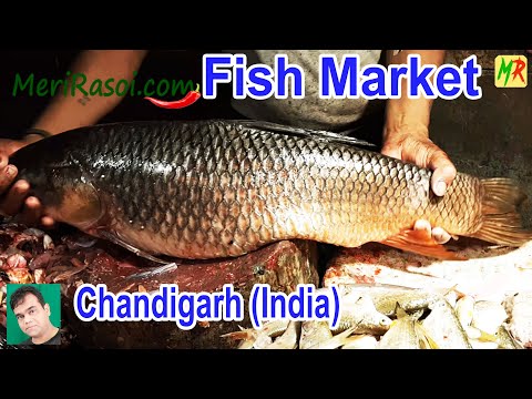 Fish Market Chandigarh | fish cutting skills | Indian Fish Market | Boneless Fish Cutting India