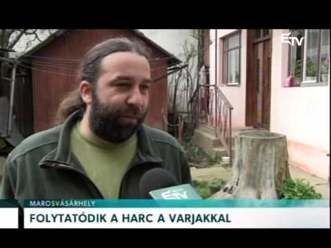 Híradó 2016. április 1. – Erdélyi Magyar Televízió