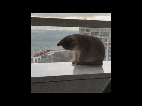 not enough のサムネイル