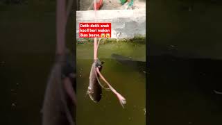 Download lagu #shorts #anaklucu detik detik anak kecil beri makan buaya,😱😱😱 mp3