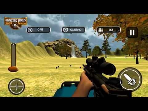 Hunting Birds: Sniper Shooting Video