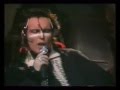 JOLLY ROGER by ADAM AND THE ANTS