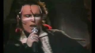 JOLLY ROGER by ADAM AND THE ANTS