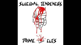 No Fuck&#39;n Problem - Suicidal Tendencies