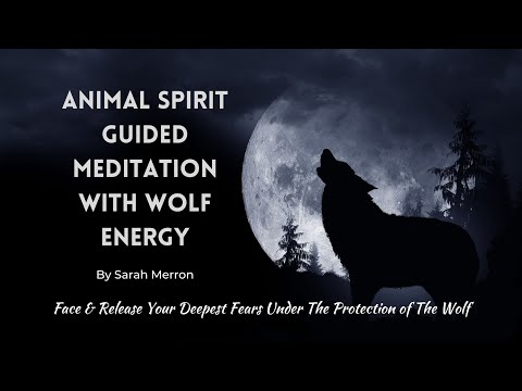 Animal Spirit Guided Meditation Wolf Energy | Shamanic Meditation Series