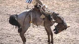 The Rodeo Song by Showdown   YouTube