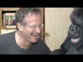Kokos Tribute to Robin Williams - YouTube