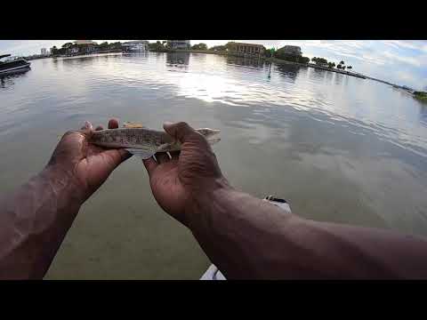 Fishing Dock Lights On The Beautiful Little Sabine Pensacola Beach Florida